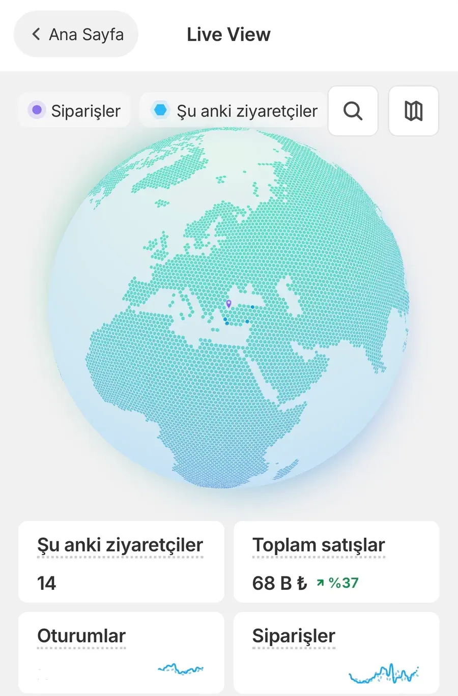 Anlık ziyaretçi ekranı: Live View